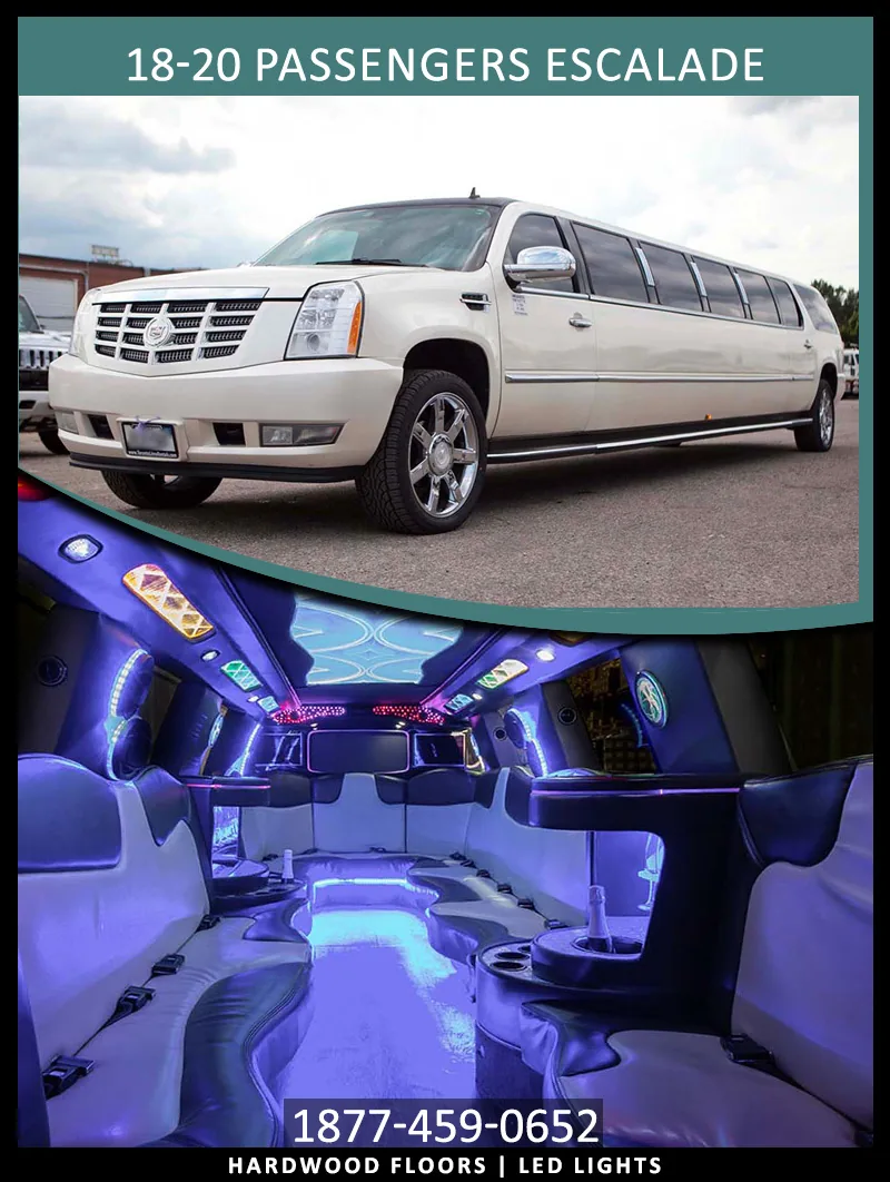 Mississauga Party Bus Rentals