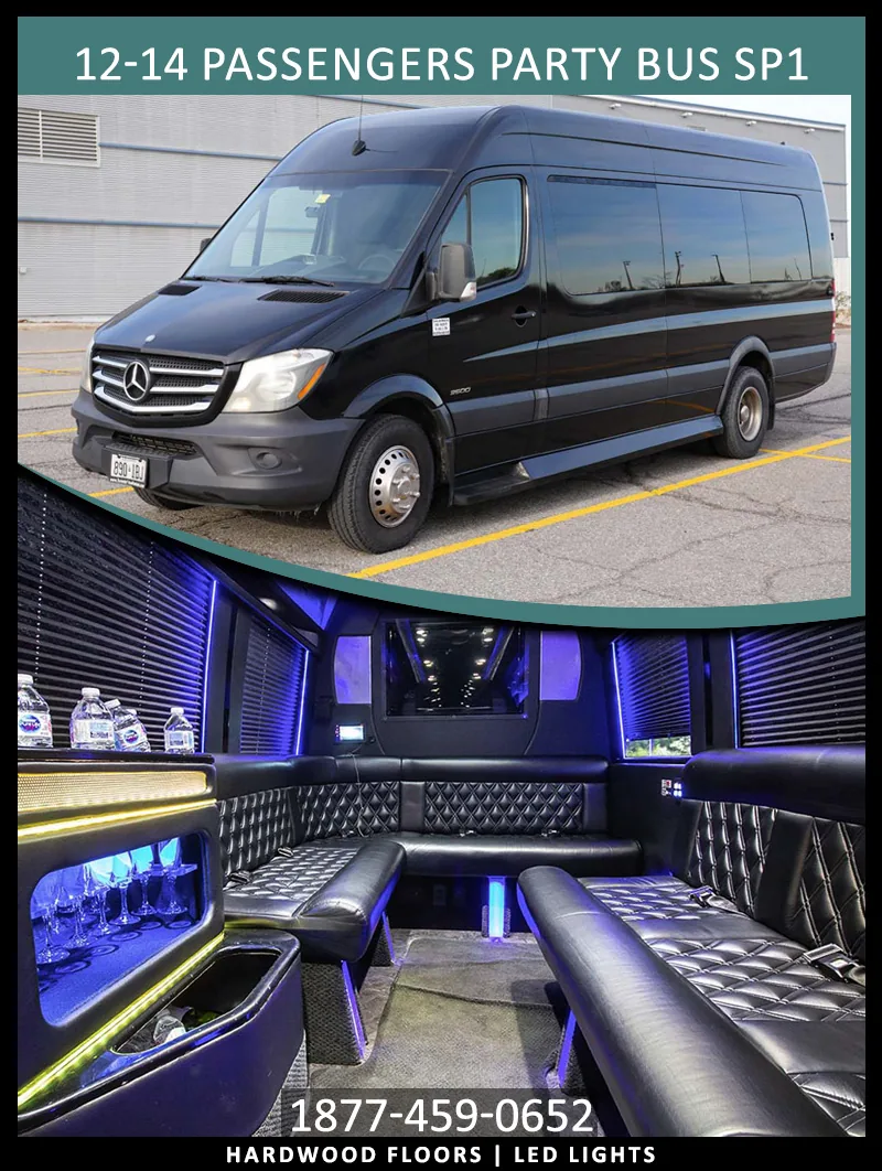 12–14 Passenger Sprinter Party Bus, party bus for 12–14 guests in Toronto